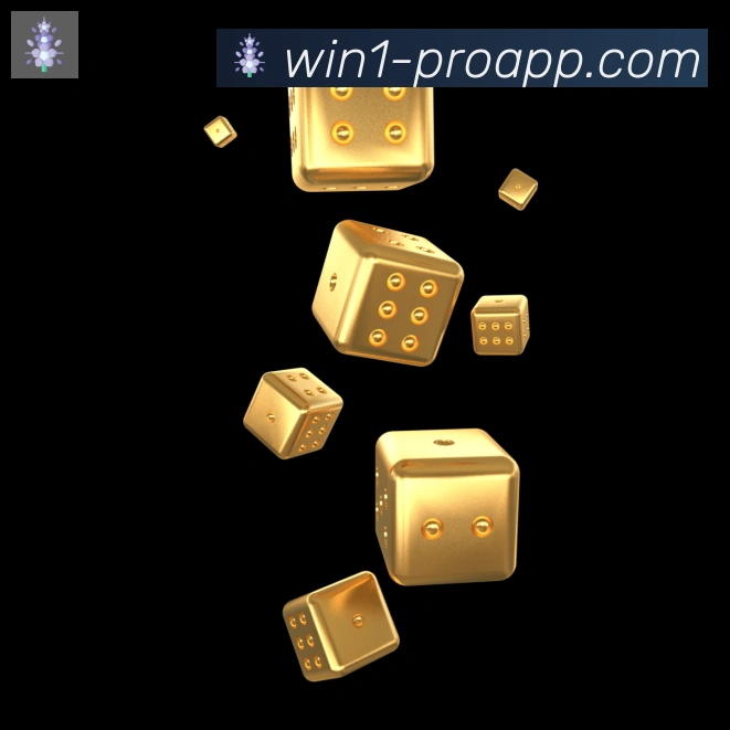 1Win体育荣誉
